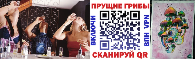 Галлюциногенные грибы прущие грибы  Шенкурск 